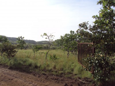 13602 - Santiago de Veraguas - farms