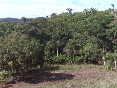 13625 - La Chorrera - farms