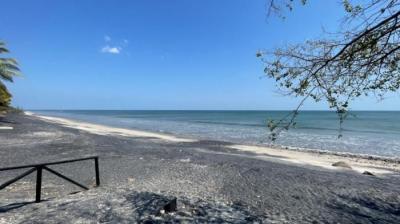 136426 - San carlos - lots