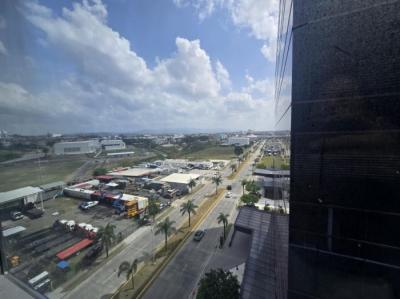 136509 - Santa maria - offices