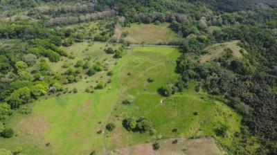 136554 - Colón - lotes
