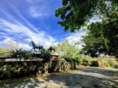 136638 - Panama pacifico - lotes - hacienda country club