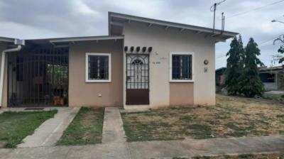 136751 - Pacora - lots