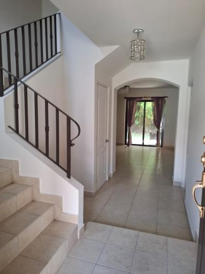 136984 - Costa sur - apartments