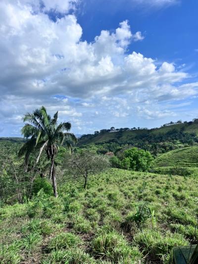 137015 - Veraguas - lots