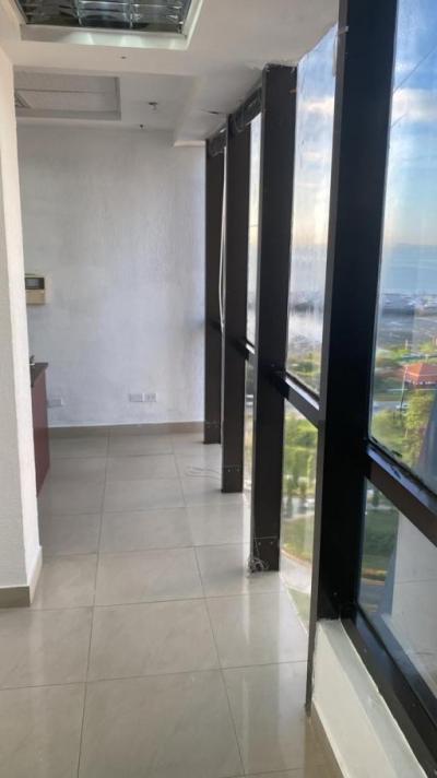 137080 - Avenida balboa - offices
