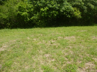 13735 - San carlos - lots