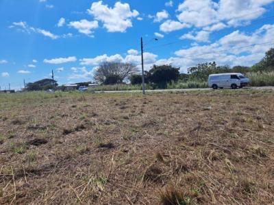 137796 - Aguadulce - lots