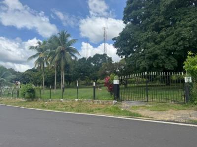 137854 - La Chorrera - propiedades