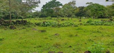 137919 - David - propiedades