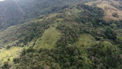 138007 - San carlos - propiedades