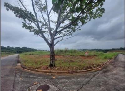 138066 - Pedregal - lotes - green valley