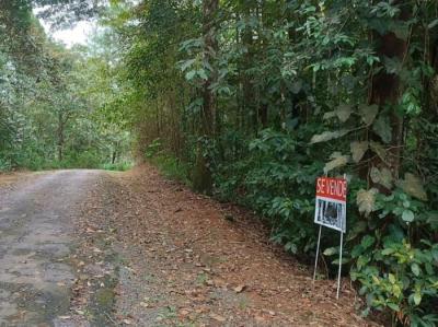 138087 - Cerro azul - lotes