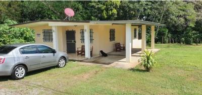 138127 - David - houses