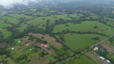 138154 - Pedasí - lots