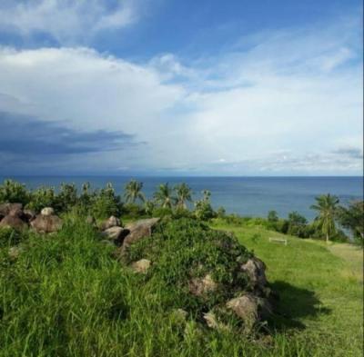 138191 - Puerto armuelles - lots