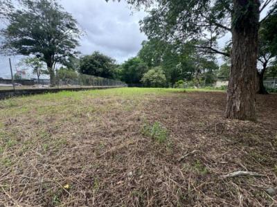 138194 - David - lots