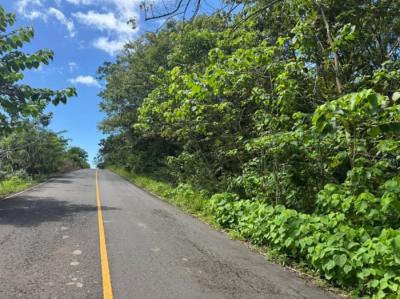 138283 - Veraguas - lots