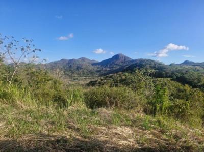 138473 - Penonomé - lotes