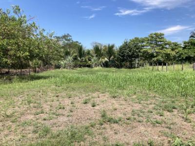 138486 - Las lajas - lotes