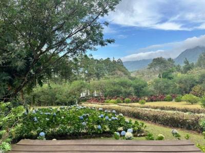 138488 - Coclé - casas