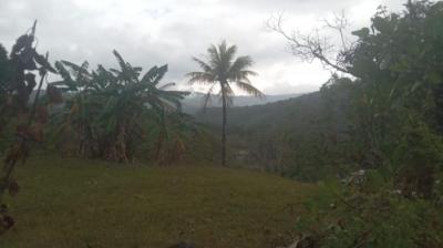 138504 - Cerro azul - lotes