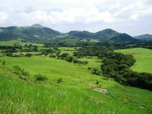 Granja de 72 Hect