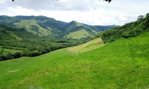 Granja de 72 Hect