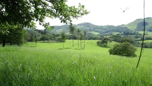 Granja de 72 Hect