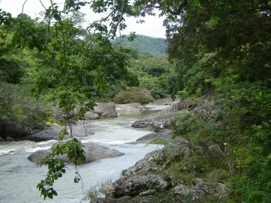 90 hectares with river and knoll - perfect for a top-notch gated community