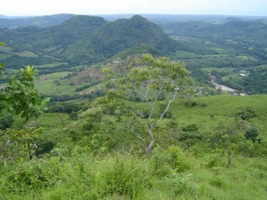 90 hectares with river and knoll - perfect for a top-notch gated community