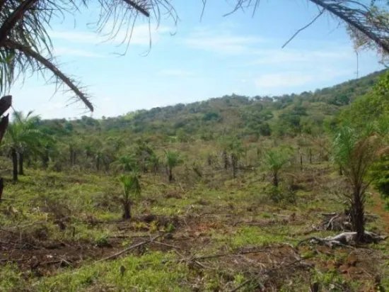 Terreno de 18 hect