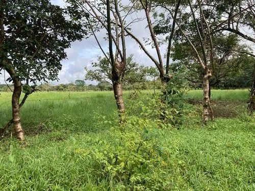 2 hectares of flat land for development close to David