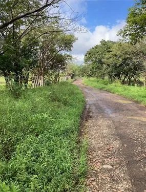 2 hectares of flat land for development close to David