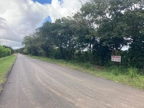 2 hectares of flat land for development close to David