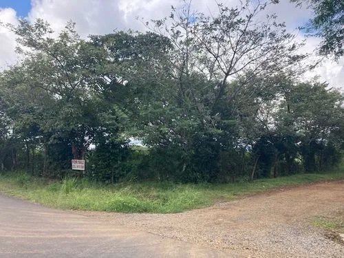 2 hectares of flat land for development close to David