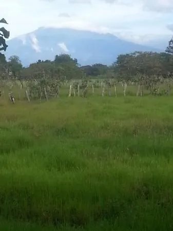 2 hectares of flat land for development close to David