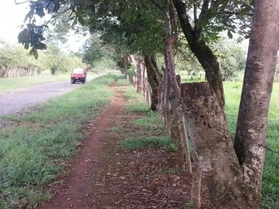 2 hectares of flat land for development close to David