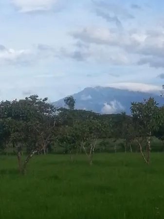 2 hectares of flat land for development close to David