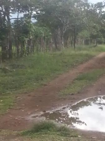 2 hectares of flat land for development close to David