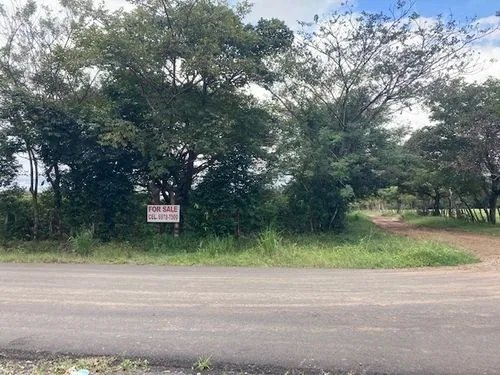 2 hectares of flat land for development close to David