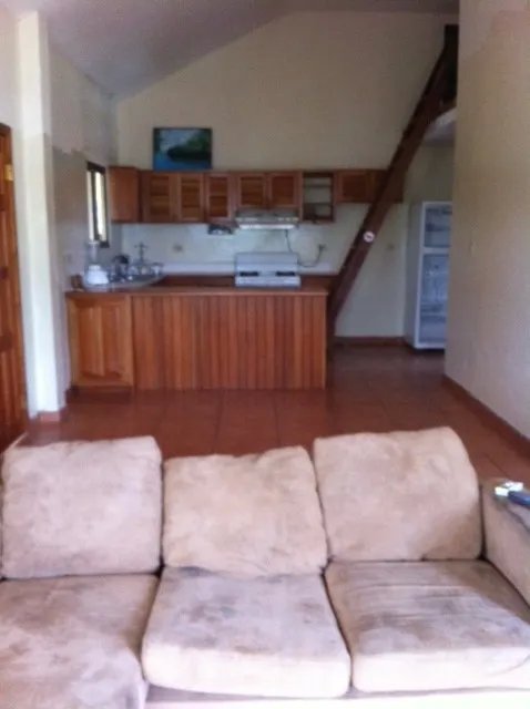 Centrally located loft-type condo in Bocas Town