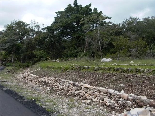 8 Hectares at the entrance of Los Molinos