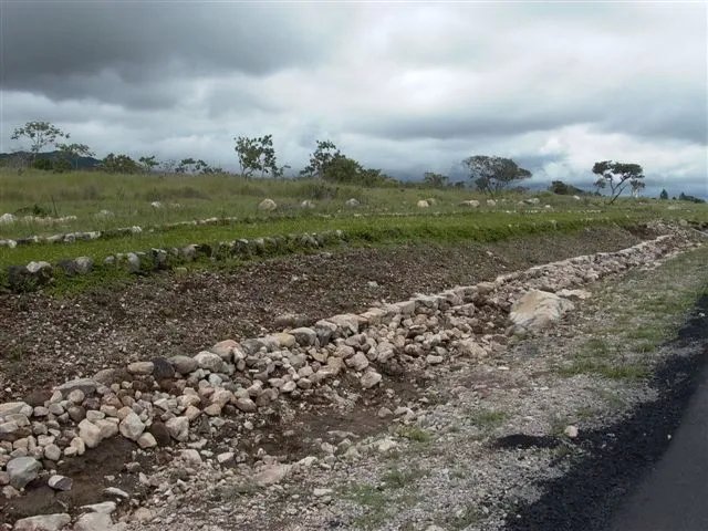 8 Hectares at the entrance of Los Molinos