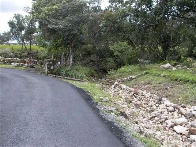 8 Hectares at the entrance of Los Molinos
