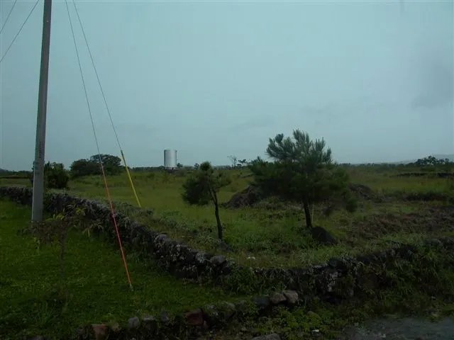 8 Hectares at the entrance of Los Molinos