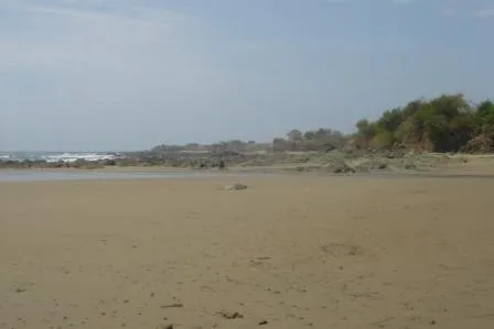 Frente de Playa en Pedasi con 42 hectareas ideal para Desarrollo