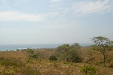 Frente de Playa en Pedasi con 42 hectareas ideal para Desarrollo