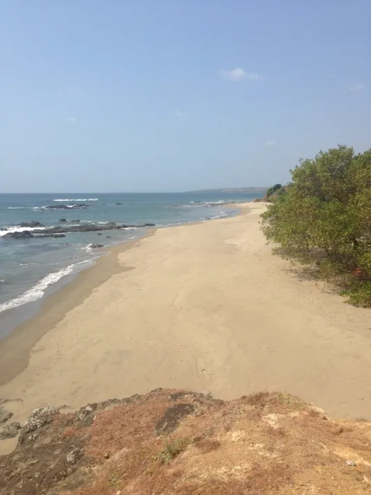 Frente de Playa en Pedasi con 42 hectareas ideal para Desarrollo