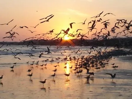 Frente de Playa en Pedasi con 42 hectareas ideal para Desarrollo